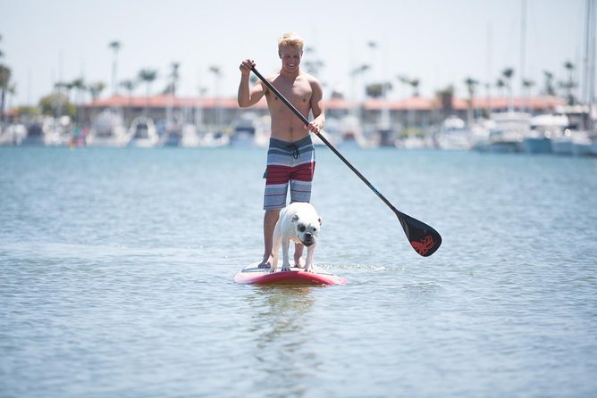 1.5 Hour Paddle Board Rental with Instruction - Key points to know before you book