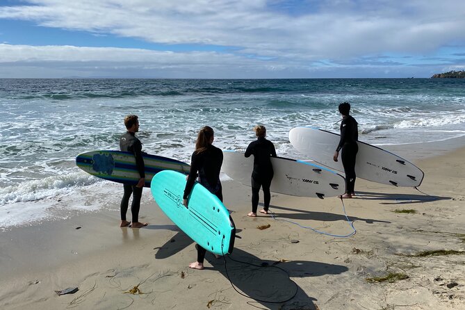 1.5 Hour Surf Lesson in Laguna Beach - The first 15 to 20 minutes: learning the basics