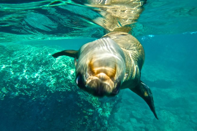 1 Day Espiritu Santo Island Wonders, Sea Lions and Paddleboard Adventure - Leaving La Paz for Espiritu Santo Island