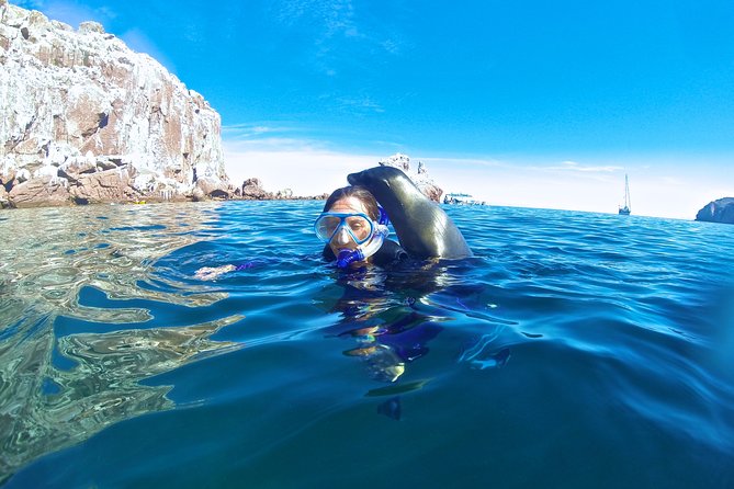 1 Day Espiritu Santo Island Wonders, Sea Lions and Paddleboard Adventure - Snorkeling in clear Gulf water