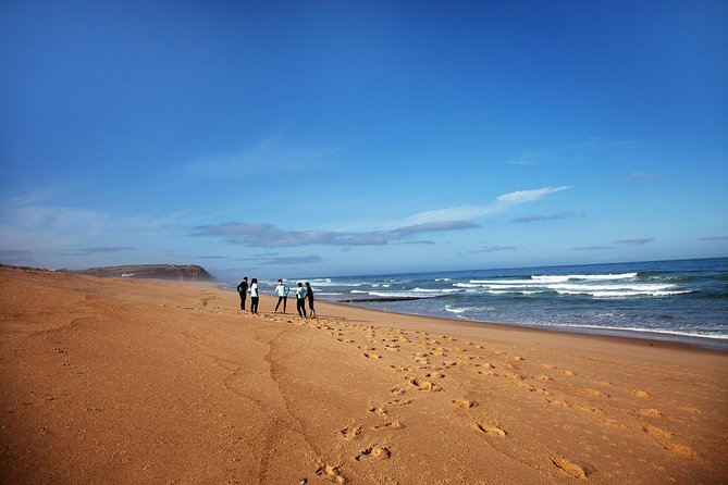 1 day surfing with Atlantic Coast Surf School - Key points before you book