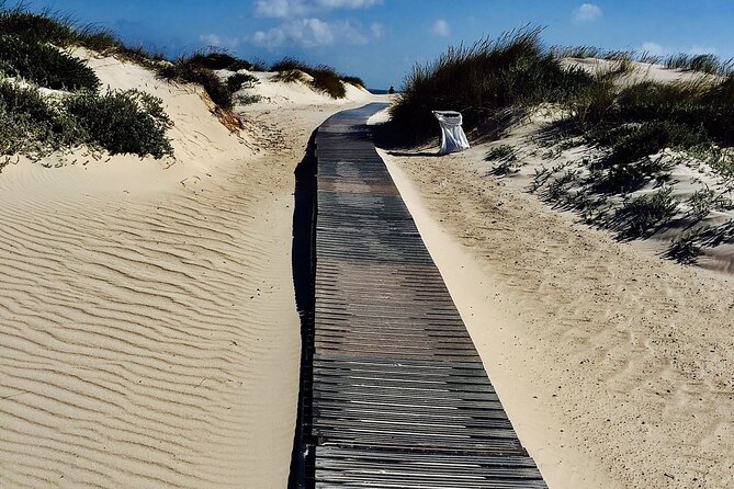 1 day surfing with Atlantic Coast Surf School - Two water sessions with a short break