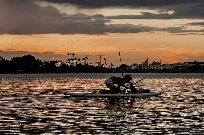 1-Hour Condado Lagoon Paddleboard Rental in San Juan - Equipment and safety details that matter