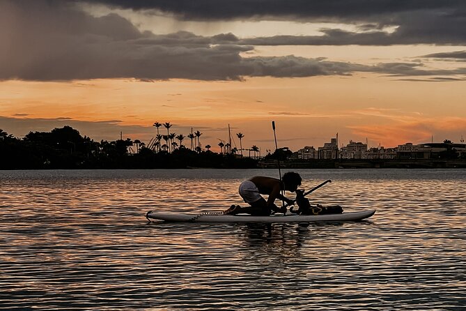 1-Hour Condado Lagoon Paddleboard Rental in San Juan - Timing it around your San Juan plans