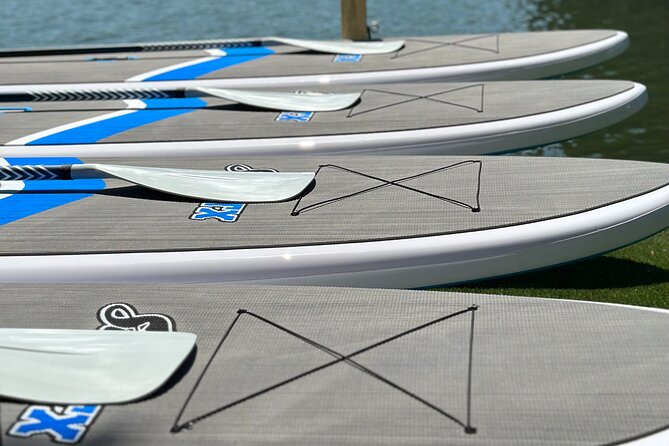 1 Hour Paddle Board Rental on Lake Austin Per Person - Paddling toward the Fern Wall