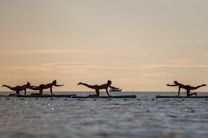 1-Hour Private E Foil Surfing Lessons in Istria - Rising above the water