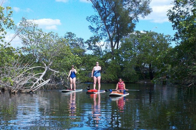 1 Hour Stand Up Paddle Board Lesson for Beginners with 1 on 1 Instructor Guide - A lesson that leaves room for practice