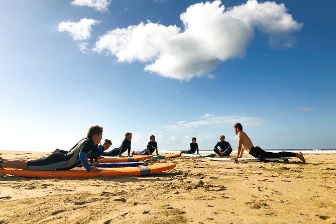 1h15min surfing lessons in Victoria Bay & Wilderness - What makes the teaching useful for beginners