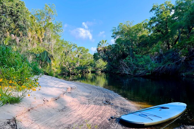 2 Hour Guided Stand Up Paddle Board Tour along Upper Manatee River - Paddling into the Upper Manatee River