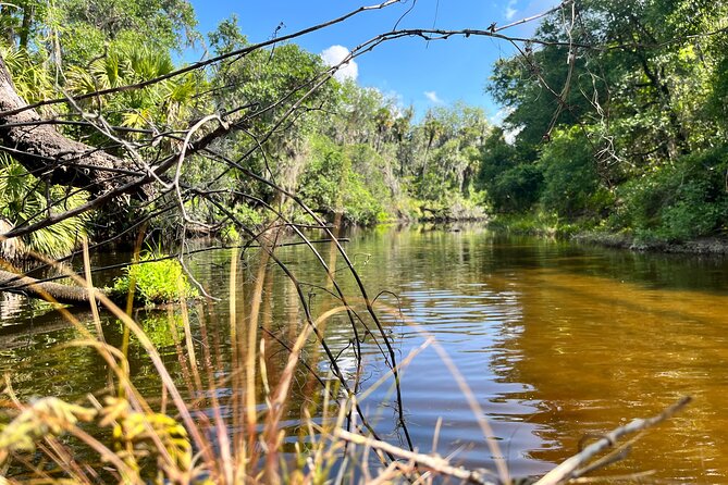2 Hour Guided Stand Up Paddle Board Tour along Upper Manatee River - Wildlife and the quieter side of Florida