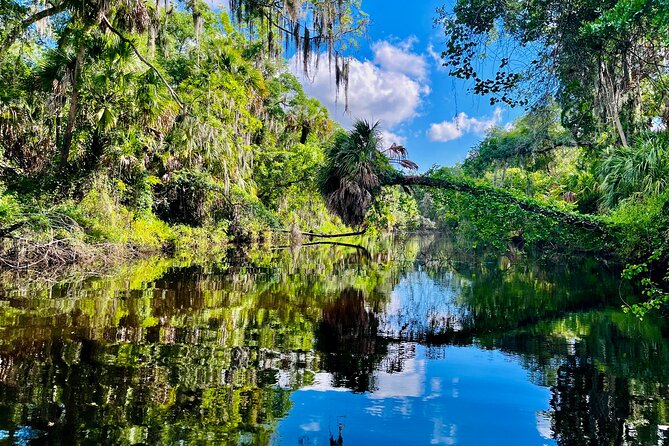 2 Hour Guided Stand Up Paddle Board Tour along Upper Manatee River - Should you book the Upper Manatee River tour?