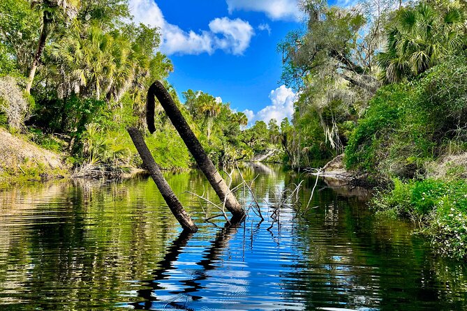 2 Hour Guided Stand Up Paddle Board Tour along Upper Manatee River - What the two-hour route feels like