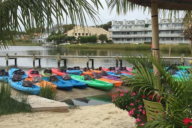 2-Hour Paddleboard Rental in Rehoboth Bay - Who Will Enjoy This Rental Most