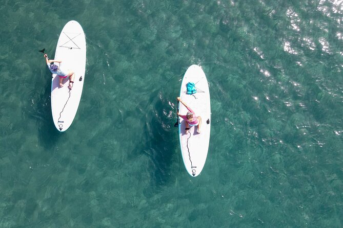 2 Hour Stand Up Paddle Lesson in Gran Canaria - The first minutes: safety, equipment, and warm-up