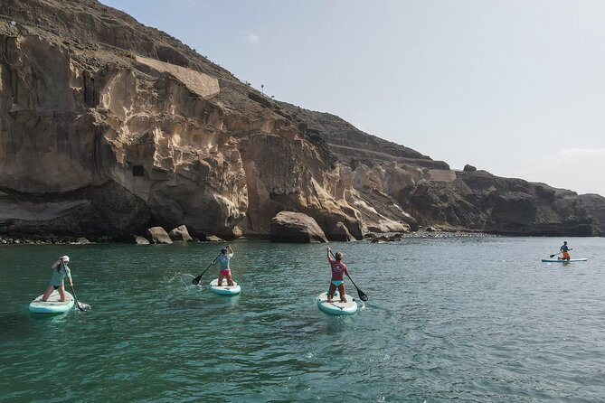 2 Hour Stand Up Paddle Lesson in Gran Canaria - Is $64.71 a fair price?