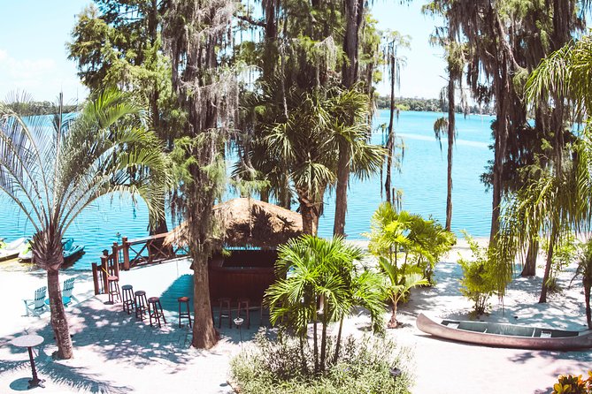 2-Hour Stand Up Paddleboard Rental from Lake Buena Vista Area - Two hours among cypress trees and birds