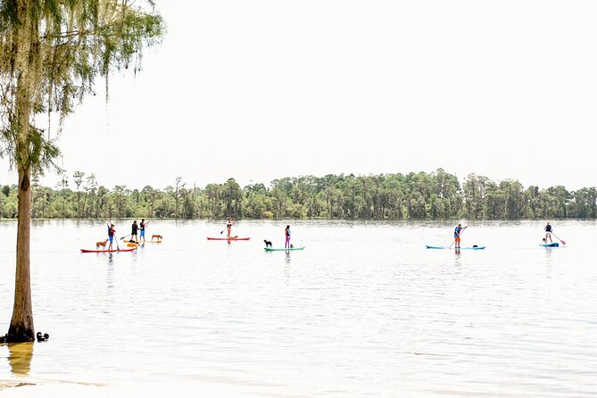 2-Hour Stand Up Paddleboard Rental from Lake Buena Vista Area - What the $59 price really covers