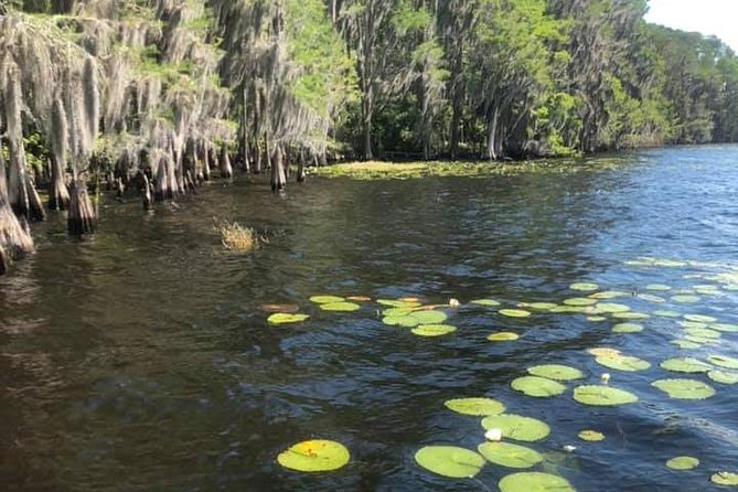 2-Hour Stand Up Paddleboard Rental from Lake Buena Vista Area - Who will enjoy this Orlando break