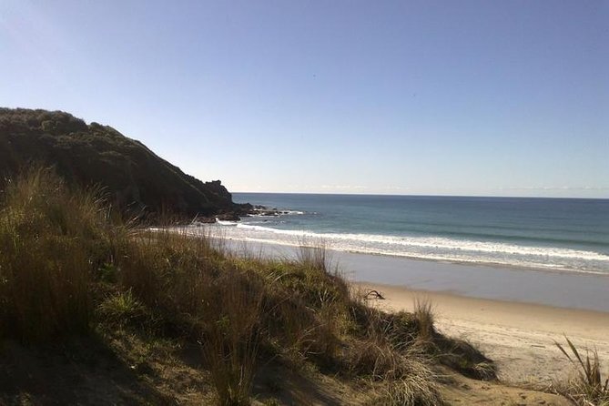 2 Hour Surf Lesson - Te Arai Beach - Why Te Arai Beach works for a first surf lesson