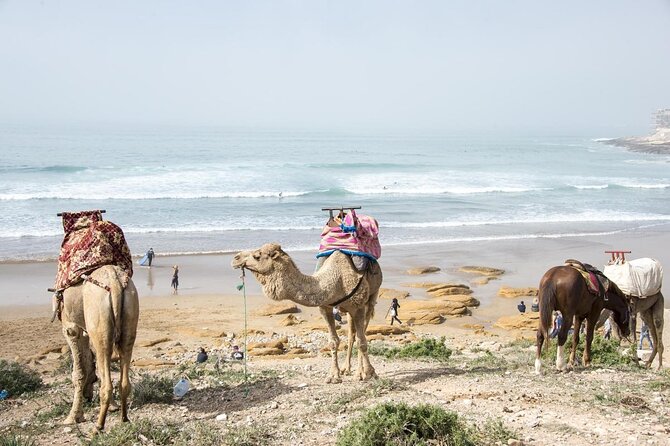 2 Hours Activity Surfing lessons in Taghazout - Key points to know before booking