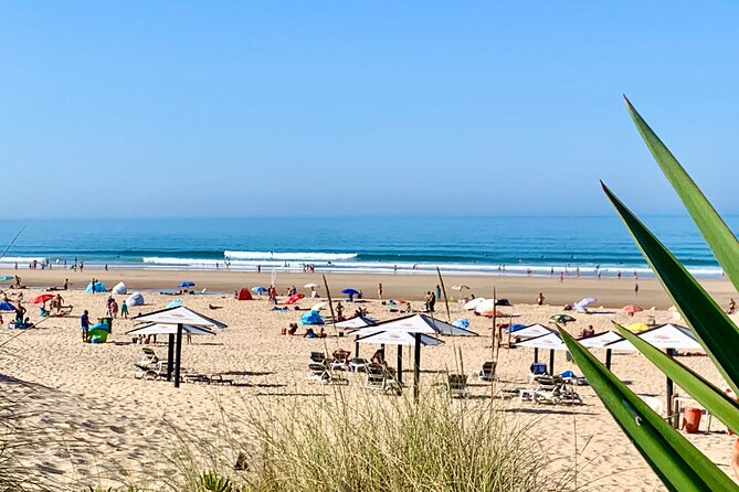 2 Hours Surf Rentals in Costa da Caparica - The value of the $28.97 price