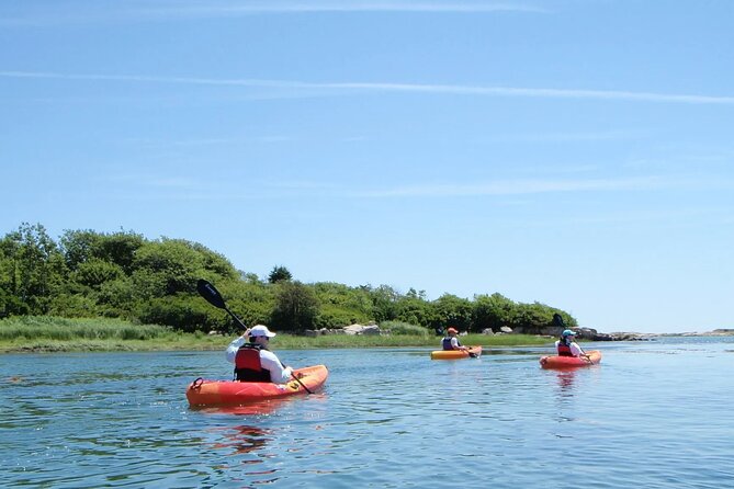 3 Hour Kayak/SUP Rental in Biddeford Pool - Key points to know before you book