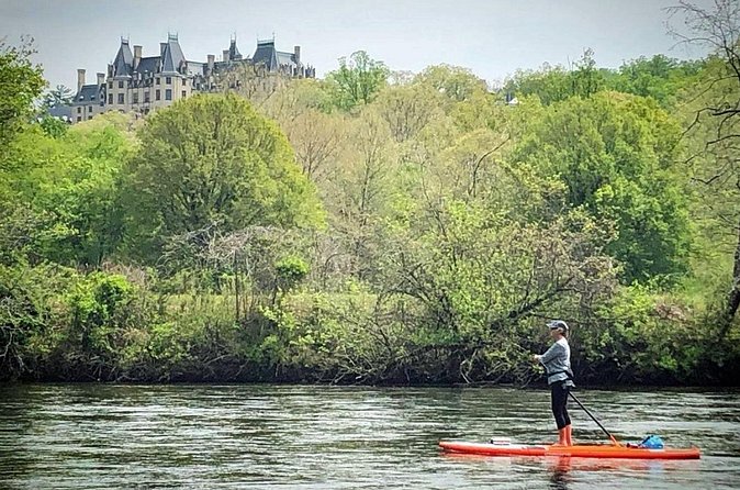7 Mile Guided Paddleboard Tour On The French Broad River in Asheville - Wildlife along the French Broad
