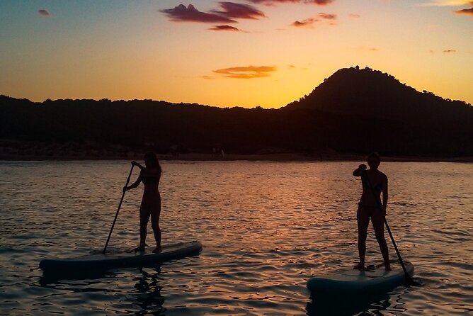 90' Stand Up Paddle tour in a small group in Cala Ratjada - Timing, transport, and the practical details