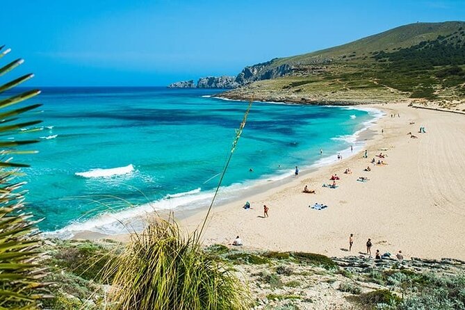 Afternoon Snorkel & Paddle Surf Experience in a Secret Spot - Key points at a glance