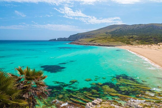 Afternoon Snorkel & Paddle Surf Experience in a Secret Spot - Snorkeling in the clear shallows