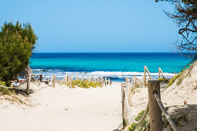 Afternoon Snorkel & Paddle Surf Experience in a Secret Spot - Who will enjoy this most
