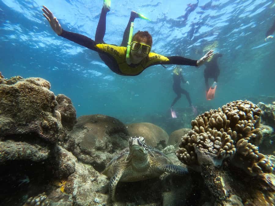 Airlie Beach: Whitsunday Islands Sailing, SUP & Snorkel Tour - Snorkeling near Hook Island