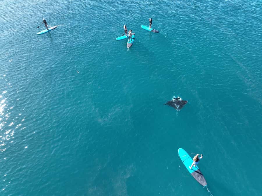 Airlie Beach: Whitsunday Islands Sailing, SUP & Snorkel Tour - Langford Island and its quiet sand cay