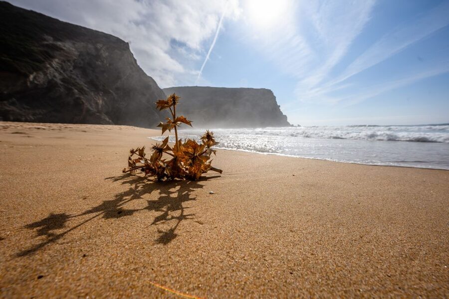 Algarve: Amazing Private Surf Lesson 2 hours - Choosing the right beach for the day