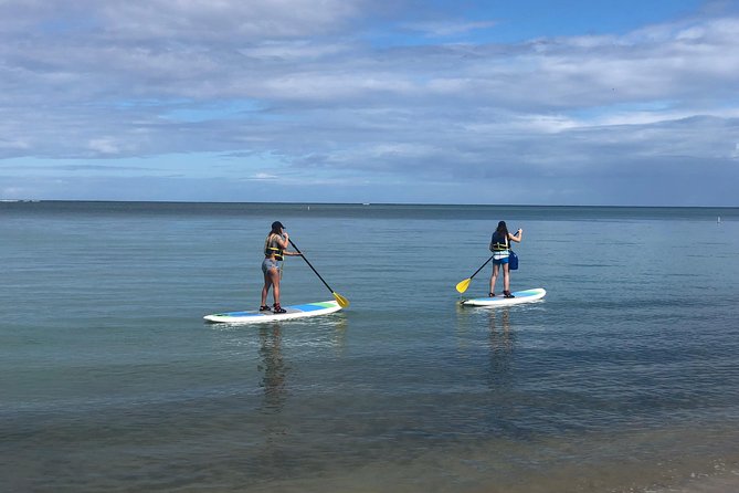 All-Day Paddleboard Rental – Fajardo, Puerto Rico - Starting at Pirate Snorkeling Shack in Las Croabas