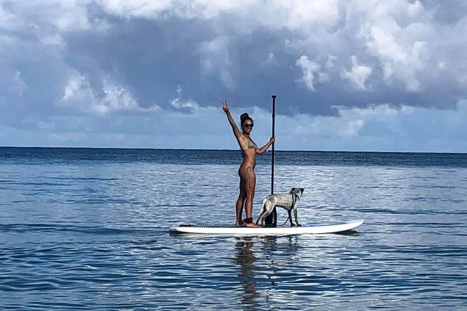 All-Day Paddleboard Rental – Fajardo, Puerto Rico - Is $83 a good price for two people?