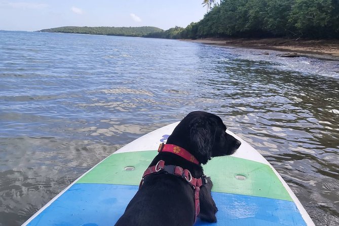 All-Day Paddleboard Rental – Fajardo, Puerto Rico - What to pack and what to plan