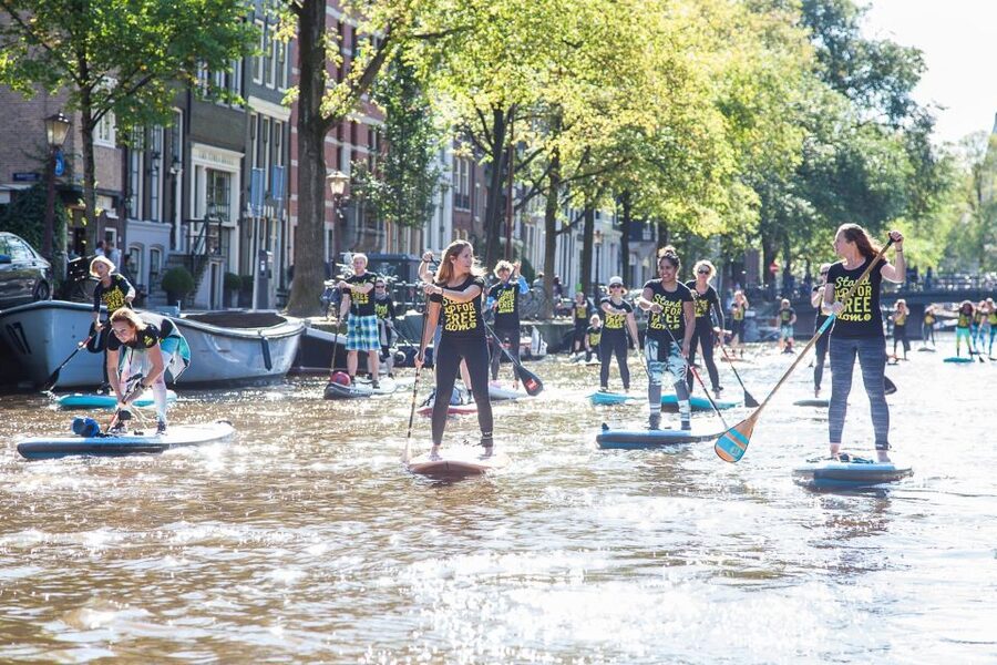 Amsterdam: 2-Hour Stand Up Paddle Board Tour - What the $142 price really buys you