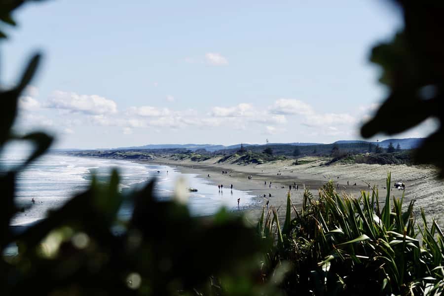 Auckland: Group Surfing Lesson with Muriwai Surf School - Your first attempts in the water