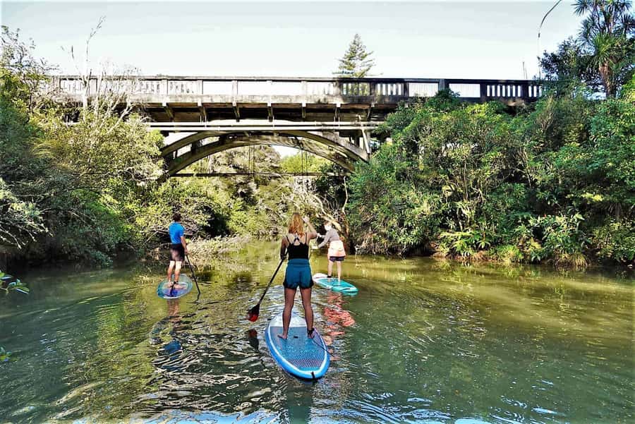 Auckland: Lucas Creek Waterfall SuP Tour - Key points to know before you book