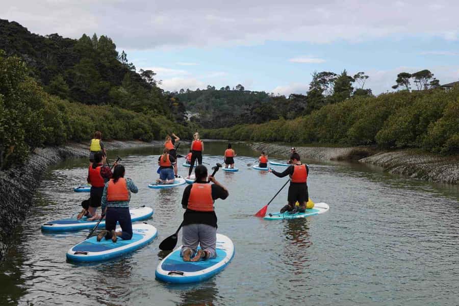 Auckland: Lucas Creek Waterfall SuP Tour - The first 30 minutes: getting comfortable on the board