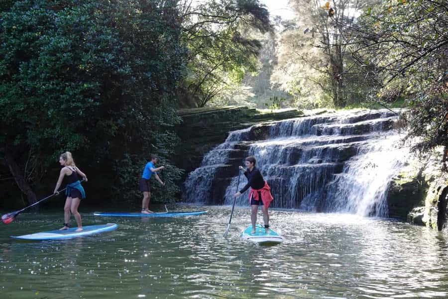 Auckland: Lucas Creek Waterfall SuP Tour - Meeting at 31 Wharf Road in Albany