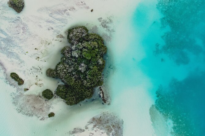Bacalar Sunrise Stand Up Paddleboard Tour with Breakfast & Photos - What the guides add to the morning