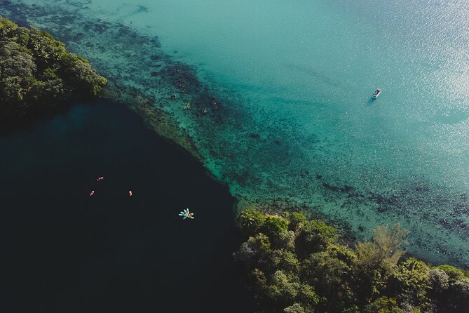 Bacalar Sunrise Stand Up Paddleboard Tour with Breakfast & Photos - Launching with Amir AdvenTours Bacalar