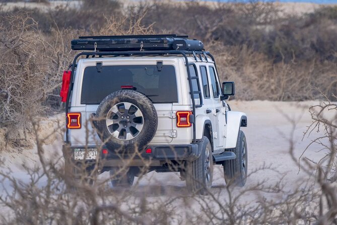 Baja Surf Expeditions - A beach camp with chairs, shade, and snacks