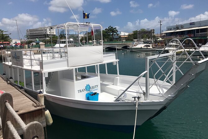 Barbados Shore Excursion: Barbados Surf & Turf - A break at Savvy on the Bay