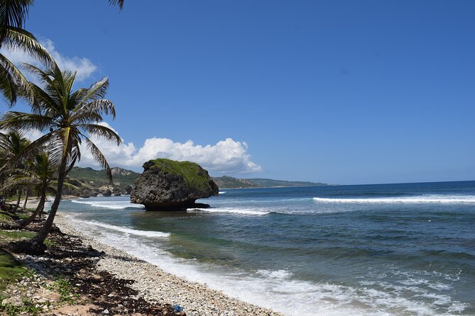 Barbados Shore Excursion: Barbados Surf & Turf - What the schedule means for you