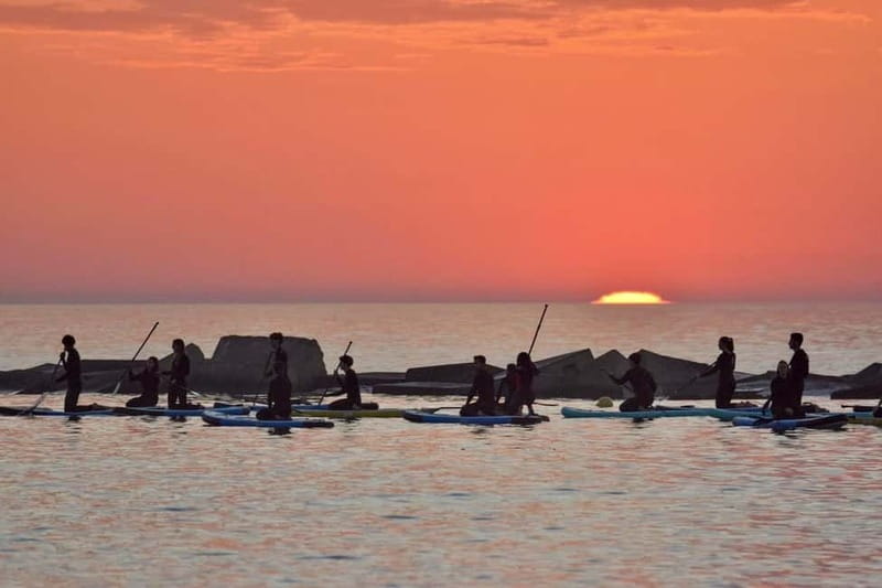 Barcelona: Paddleboarding at Sunrise. Includes: instructor, photos, equipment - Starting before dawn in Barceloneta