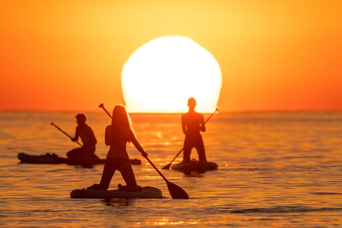 Barcelona: Sunrise Paddle Surf with Instructor and Photos - Photos without carrying your phone