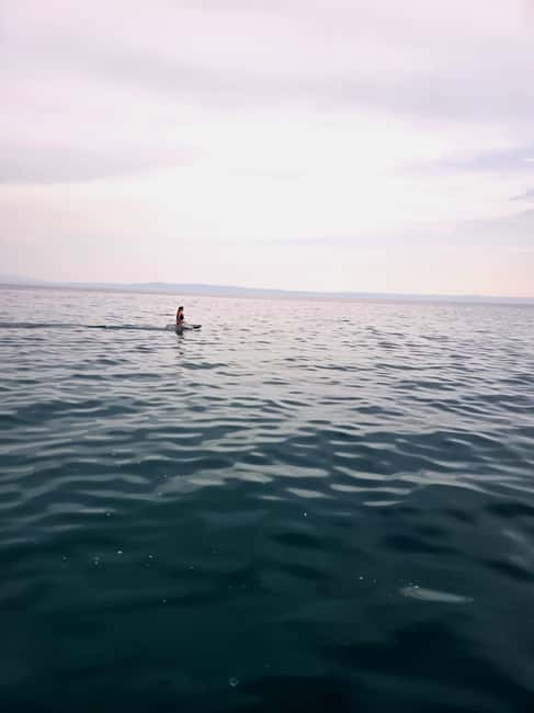 Baška Voda: Electric Surfboard Rental with Instructor - Meeting at Level up Baška Voda